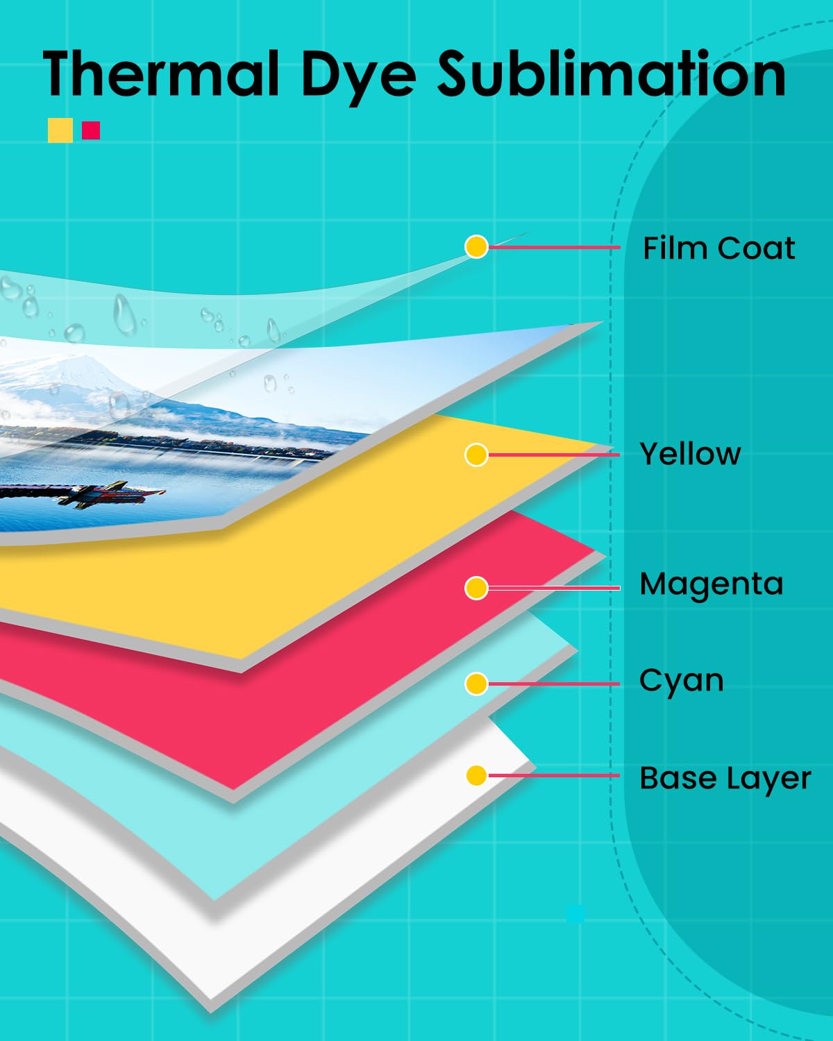 LP-80 Compatible for Liene Amb - đánh giá và giá Solvent Printer Ink